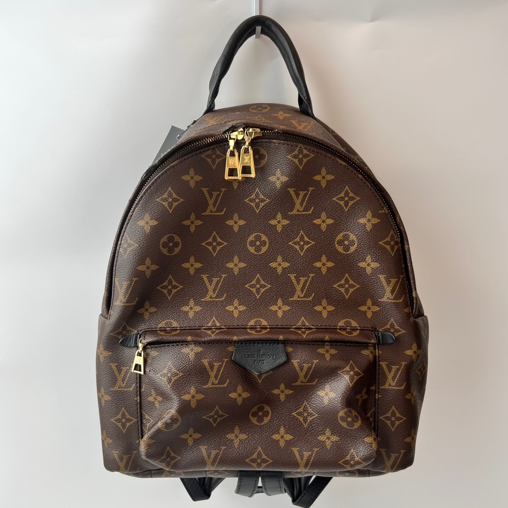 Louis Vuitton Palm Springs MM Monogram Backpack